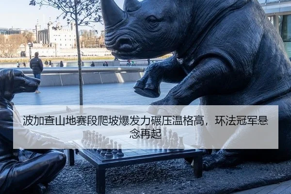 bo-jia-cha-shan-di-sai-duan-pa-po-bao-fa-li-nian-ya-wen-ge-gao-huan-fa-guan-jun-xuan-nian-zai-qi-3-725.jpg